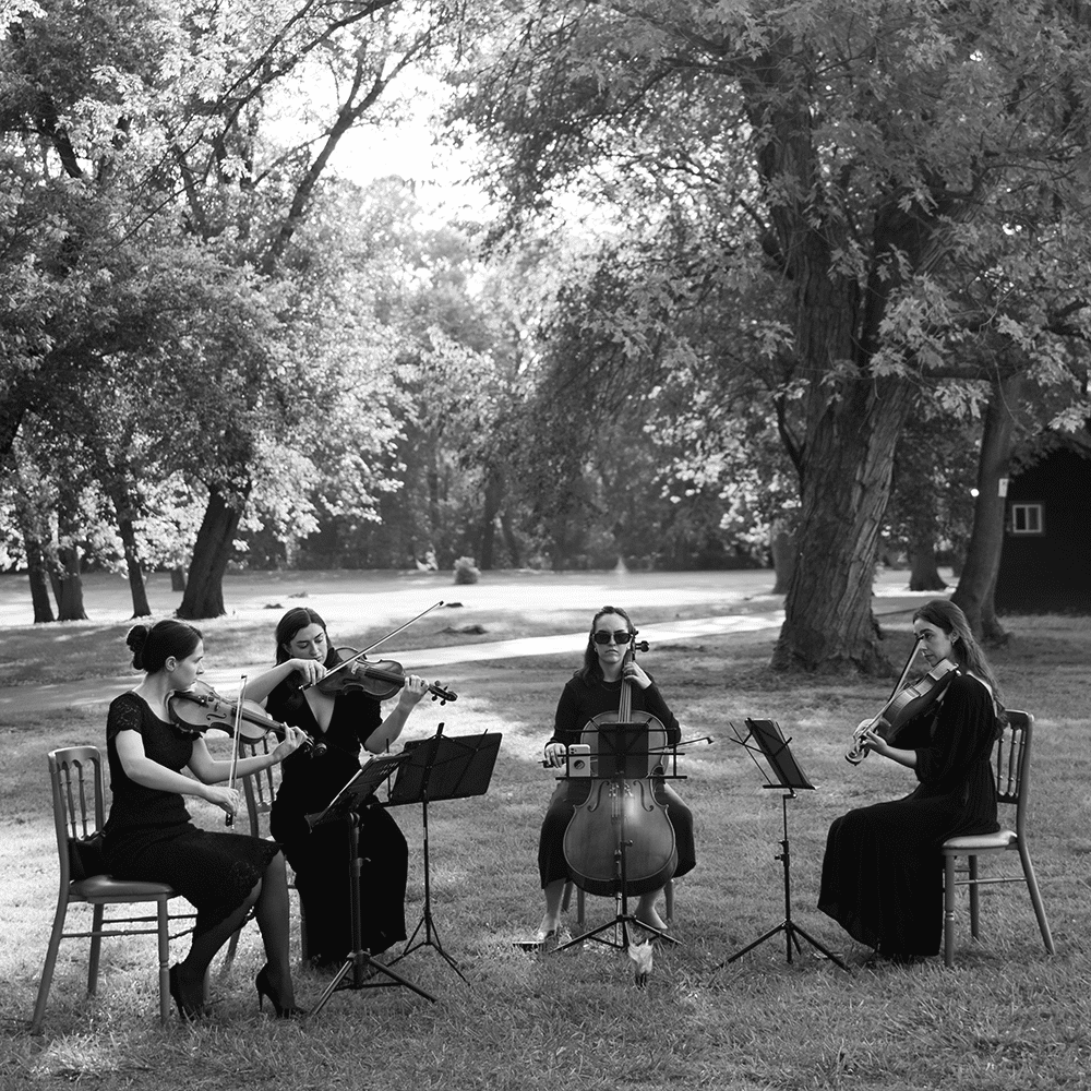 Aster String Quartet Promo Photo